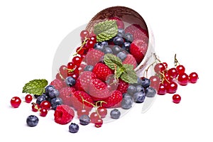 tasty mix of berries