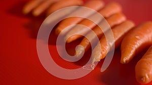 Tasty orange carrots on a red background