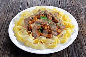 Tasty pasta with beef stroganoff stew