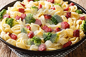 Tasty pasta orecchiette with broccoli and grilled sausages in a creamy sauce close-up in a plate. horizontal