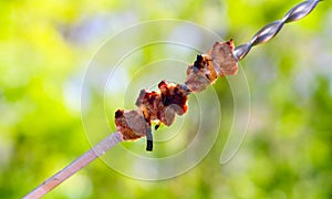 Tasty pieces of grilled meat