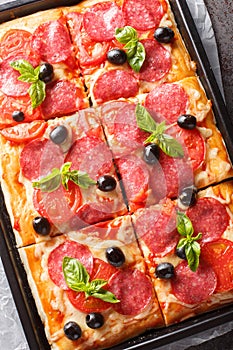 Tasty Pizza al Taglio or Pizza al trancio with cheese, sausage, olives and tomatoes closeup on the tray on the table. Vertical top photo