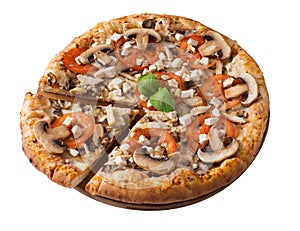 Tasty pizza with chicken, mushrooms and tomato isolated