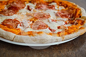 A tasty pizza with mozzarella.