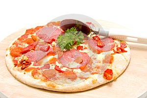 Tasty pizza with salami