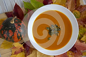 Tasty pumpkin bright orange soup with green seeds served on white plate and autumnal colorful leaves