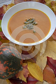 Tasty pumpkin bright orange soup with green seeds served on white plate and autumnal colorful leaves