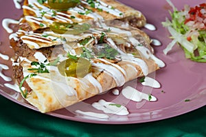 Tasty quesadillas ,Mexican street food