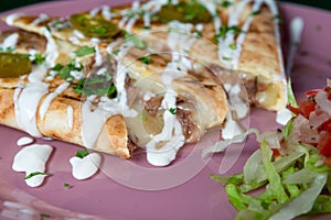 Tasty quesadillas ,Mexican street food