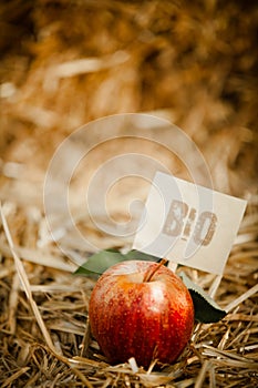 Tasty red apple on straw, tagged as