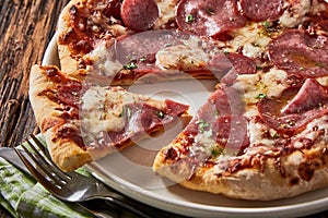 Tasty regional Italian salami pizza with herbs