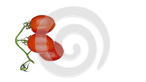 Tasty ripe tomatoes with water drops on green branch