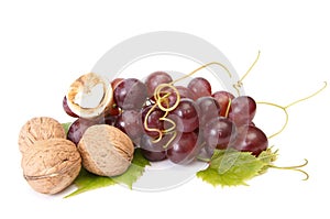 Tasty , ripe walnuts and grape.