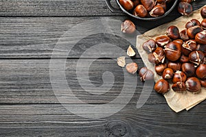 Tasty roasted edible chestnuts on black wooden table, flat lay. Space for text