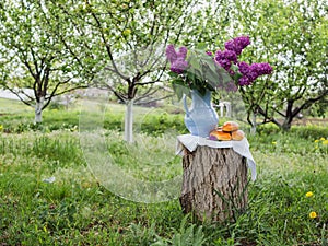 Tasty Russian pies on a wooden stump with lilac flowers in ancient porcelain vase or decanter. Spring background in a garden