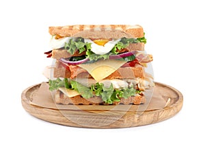 Tasty sandwich with chicken isolated