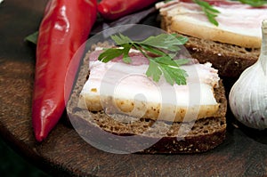 Tasty sandwich with salted lard (salo)