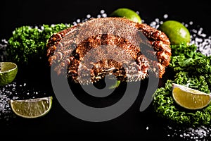 Tasty seafood.King crab with lime, greens and salt on black background. Horisontal shot. Close-up