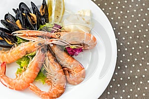 Tasty seafood on plate on table close-up, Siurana, Catalunya, Spain.