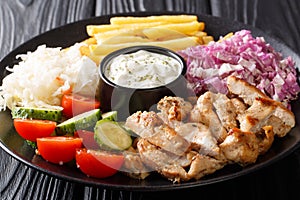 Tasty shawarma bowl with chicken, french fries, vegetables and sauce close-up. horizontal photo