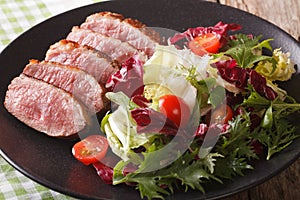 Tasty sliced roast duck breast with fresh vegetable salad close-up. horizontal