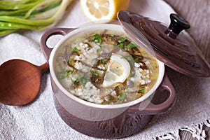 Tasty soup in saucepans, close-up