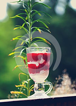 Tasty strawberry dessert tiramisu