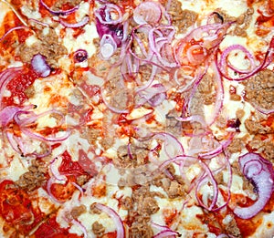 tasty takeaway pizza with tuna and onions