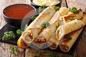 Tasty taquitos with chicken and two sauces close-up. horizontal