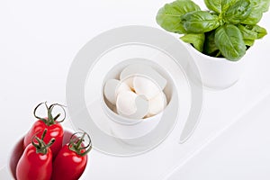 Tasty tomatoe mozzarella salad with basil on white