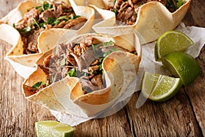 Tasty tortilla with spicy pulled beef and herbs close-up. horizontal