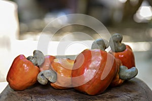 Tasty tropical cashew fruit over wood on blurred background photo