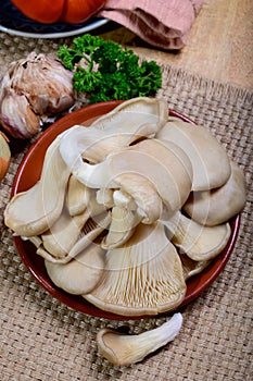 Tasty vegetarian food, fresh organic Pleurotus ostreatus, or oyster mushrooms, hiratake, or pearl oyster mushrooms