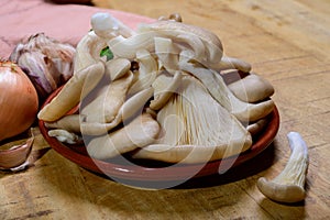 Tasty vegetarian food, fresh organic Pleurotus ostreatus, or oyster mushrooms, hiratake, or pearl oyster mushrooms