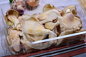 Tasty vegetarian food, fresh organic Pleurotus ostreatus, or oyster mushrooms, hiratake, or pearl oyster mushrooms