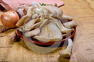 Tasty vegetarian food, fresh organic Pleurotus ostreatus, or oyster mushrooms, hiratake, or pearl oyster mushrooms