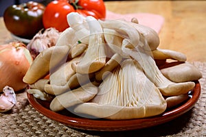 Tasty vegetarian food, fresh organic Pleurotus ostreatus, or oyster mushrooms, hiratake, or pearl oyster mushrooms