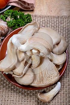 Tasty vegetarian food, fresh organic Pleurotus ostreatus, or oyster mushrooms, hiratake, or pearl oyster mushrooms