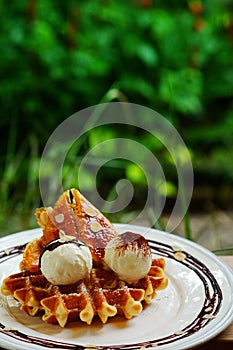 Tasty waffle and vanilla ice cream set served with banana sugar coating Topped with chocolate sauce on white plate in green garden