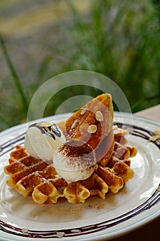 Tasty waffle and vanilla ice cream set served with banana sugar coating Topped with chocolate sauce on white plate in green garden