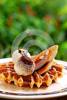 Tasty waffle and vanilla ice cream set served with banana sugar coating Topped with chocolate sauce on white plate in green garden