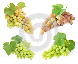 Tasty white and red wine in glasses and grapes