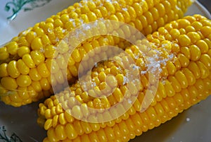 Tasty yellow boiled Ukrainian two pumpkins of corn and salt laid out on plates with green flowers.