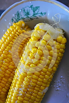 Tasty yellow boiled Ukrainian two pumpkins of corn and salt laid out on plates with green flowers.