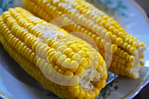 Tasty yellow boiled Ukrainian two pumpkins of corn and salt laid out on plates with green flowers.