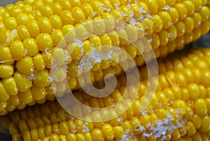 Tasty yellow boiled Ukrainian two pumpkins of corn and salt laid out on plates with green flowers.