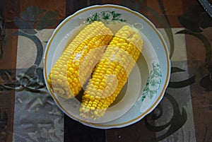 Tasty yellow boiled Ukrainian two pumpkins of corn and salt laid out on plates with green flowers.