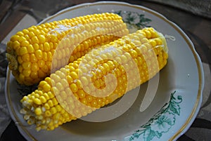 Tasty yellow boiled Ukrainian two pumpkins of corn and salt laid out on plates with green flowers.