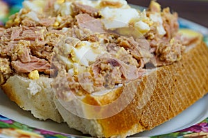 tastyTuna sandwich