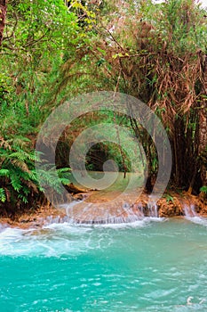 Tat Kuang Si Waterfalls, Luang Prabang. Laos.